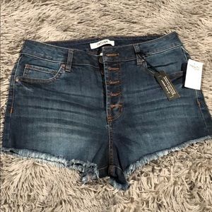 Charlotte Russe Brand New Shorts